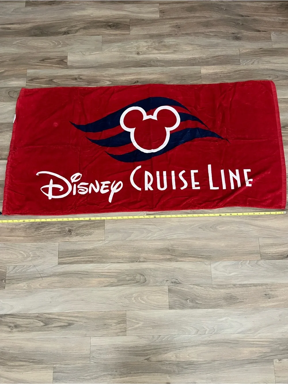 Disney Towel-backpack
